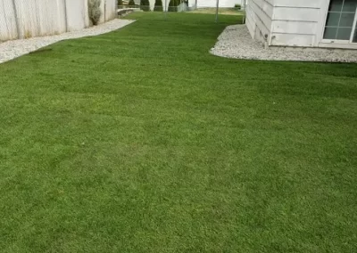 Competent Landscaping Service