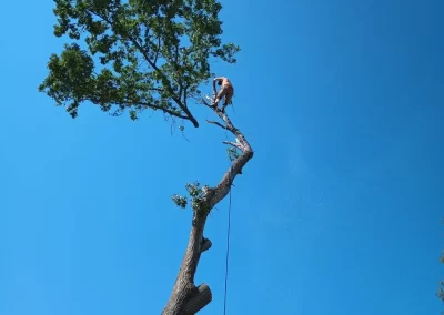 Construction Services Company (7)