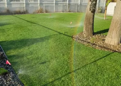 Reputable Landscaping Service