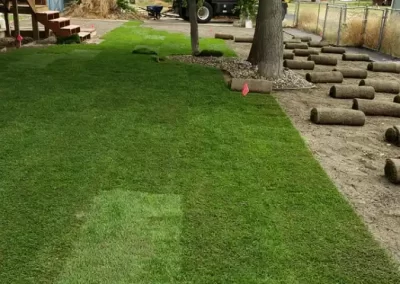 Supreme Landscaping Service