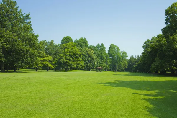 Experienced Landscaping Services in Wenatchee, WA Experienced Landscaping Services in Wenatchee, WA