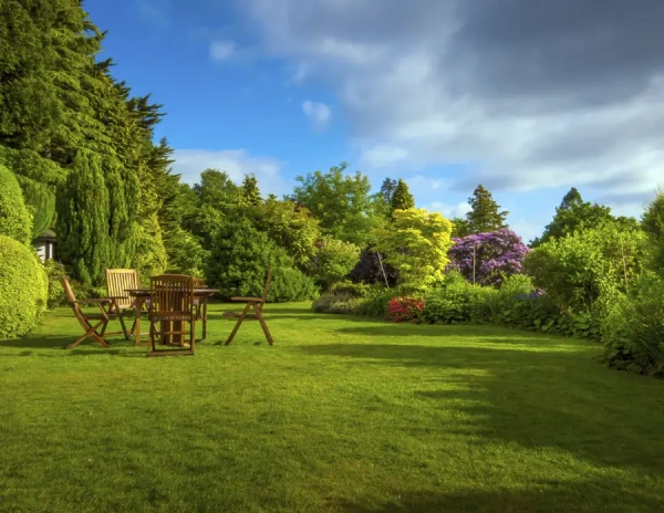 Reliable Tree Service in Wenatchee, WA Reliable Tree Service in Wenatchee, WA